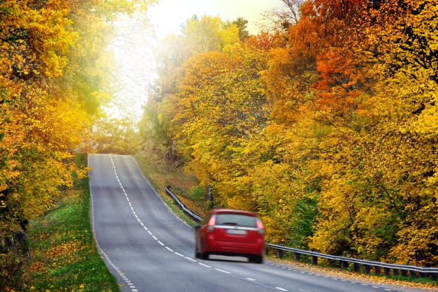 Car driving in autumn