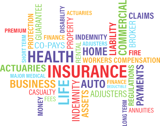 Insurance terms graphic