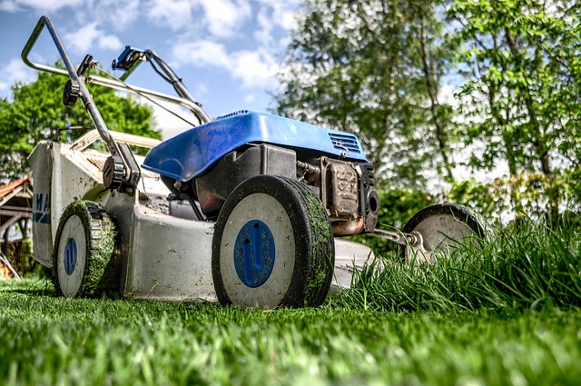Lawn mower cutting grass